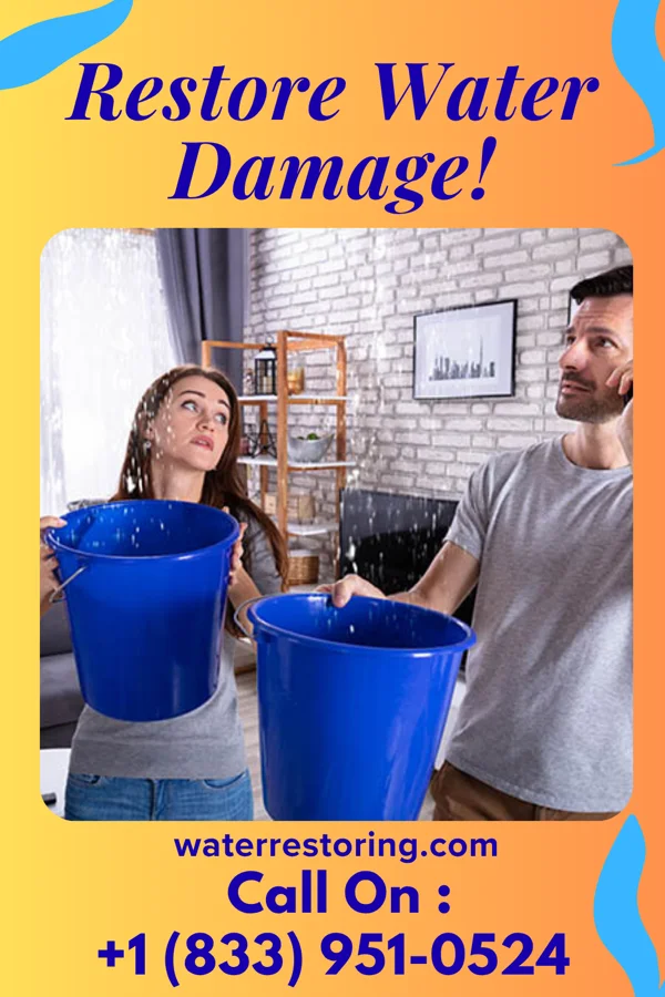 water restoration Premier Water Mitigation & Associates Parsippany